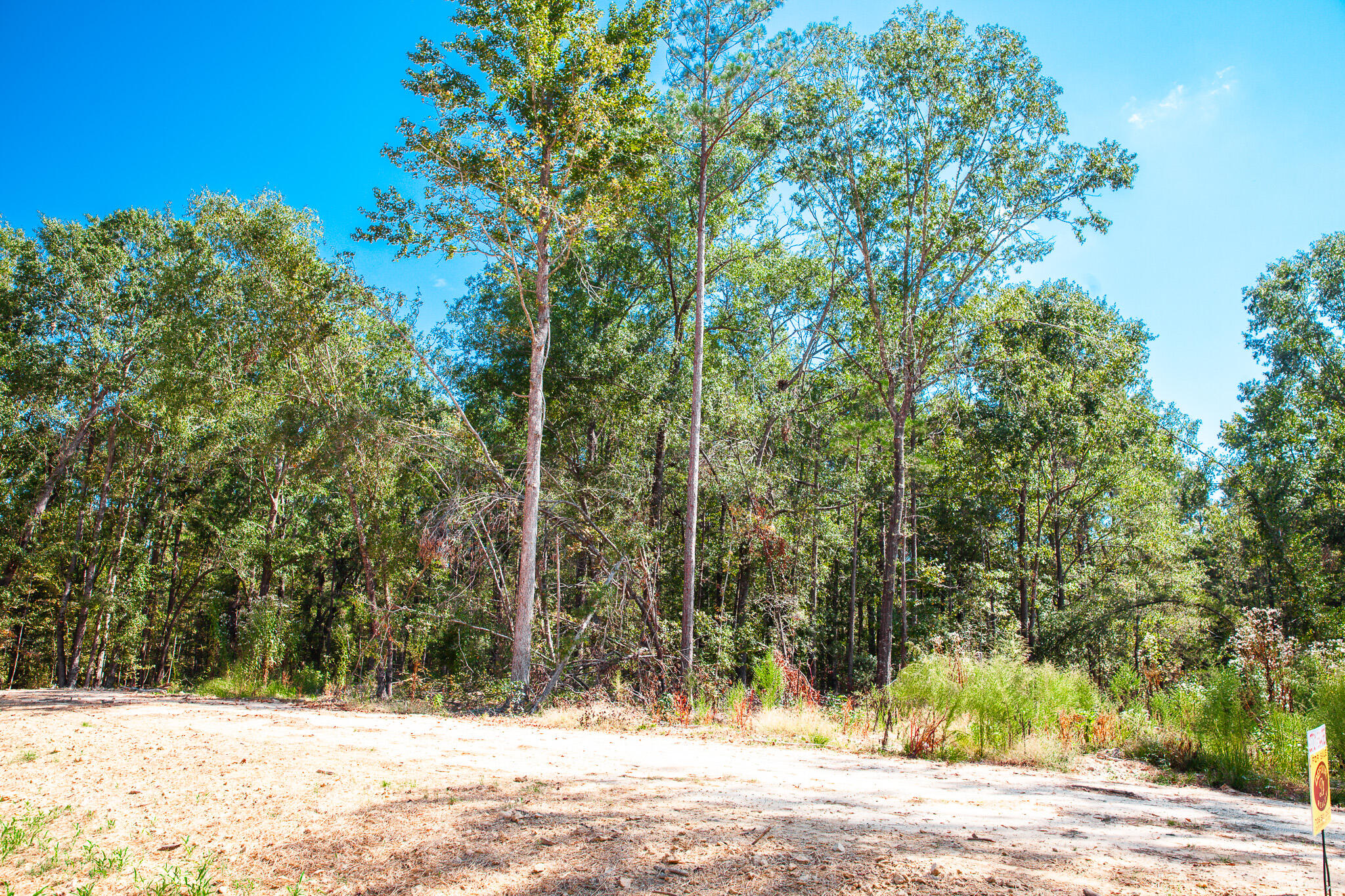 555 Rabbit Pen Drive Appling, GA 30802 - Photo 4 of 10 IMG_4310