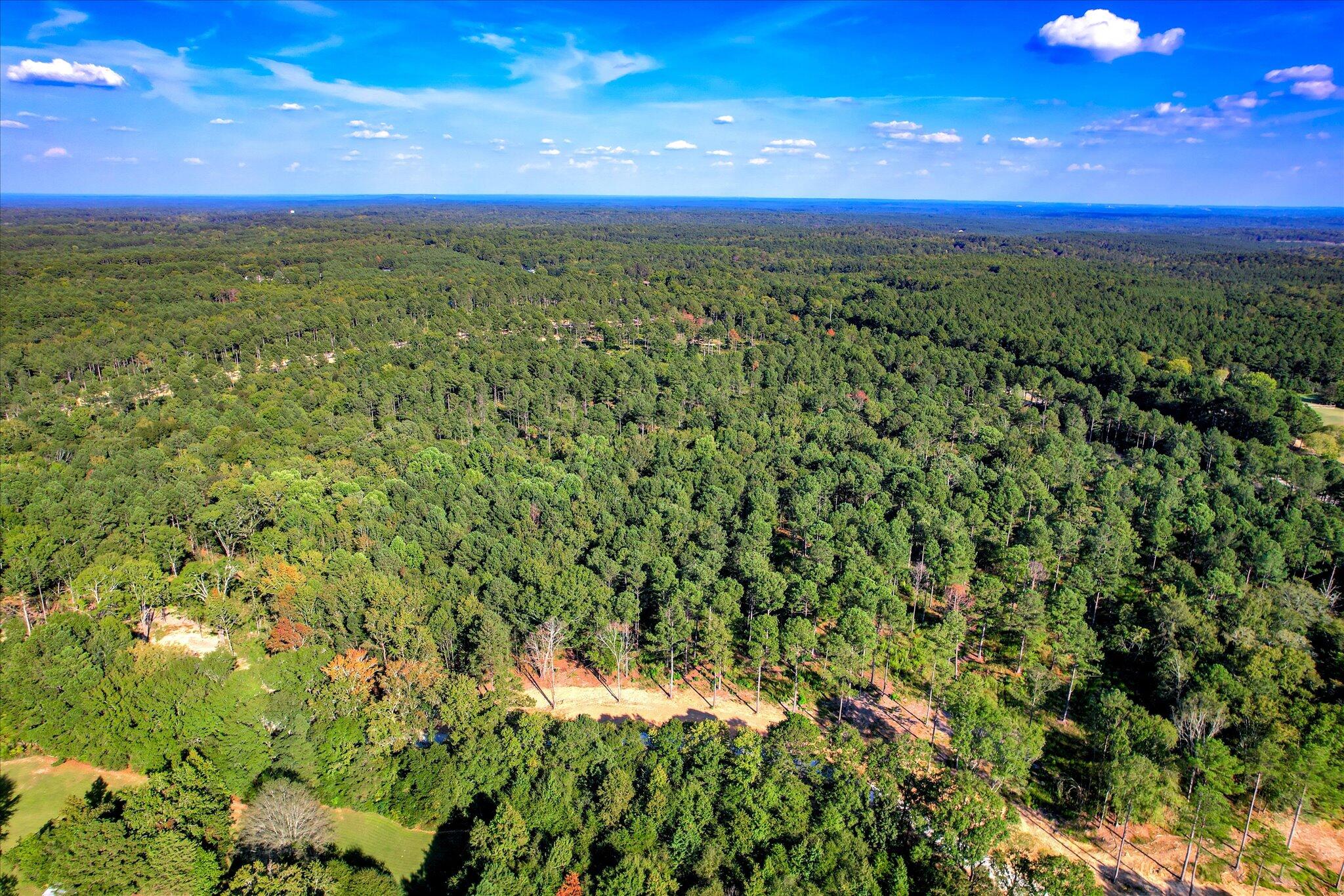 555 Rabbit Pen Drive Appling, GA 30802 - Photo 6 of 10 14-114