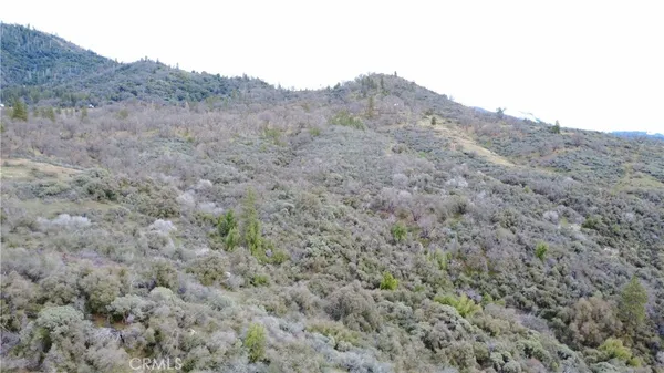 a view of a dry field with mountains in the background