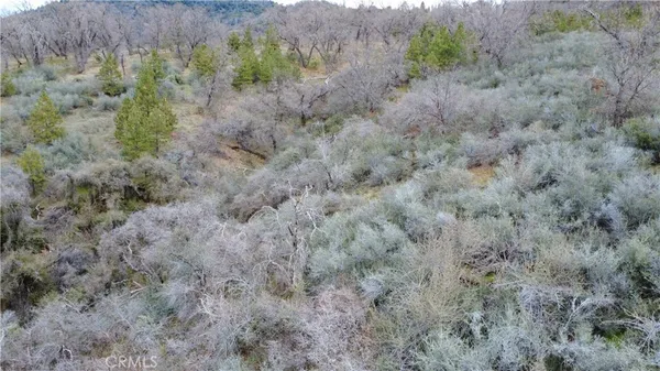 a view of a dry field with trees
