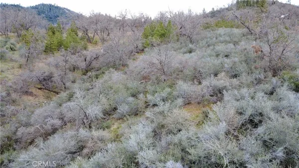 a view of a dry field