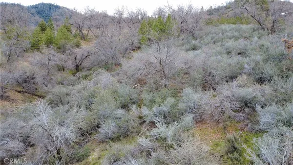 a view of a dry field