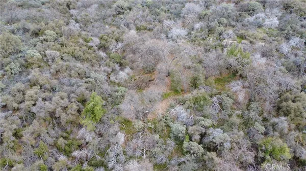 a view of a field