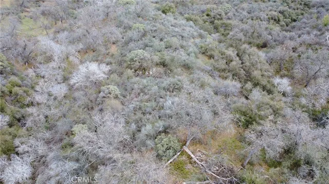 $90,000 | 0 Apn 195-070-01, Miramonte, CA 93641