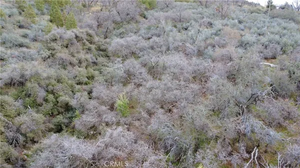 a view of a dry field