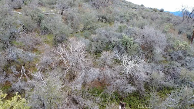 $90,000 | 0 Apn 195-070-01, Miramonte, CA 93641