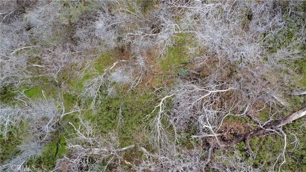 a map view of location