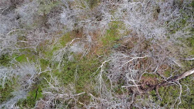 $90,000 | 0 Apn 195-070-01, Miramonte, CA 93641