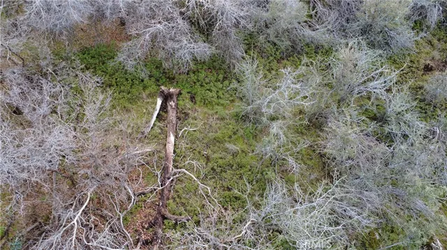 $90,000 | 0 Apn 195-070-01, Miramonte, CA 93641