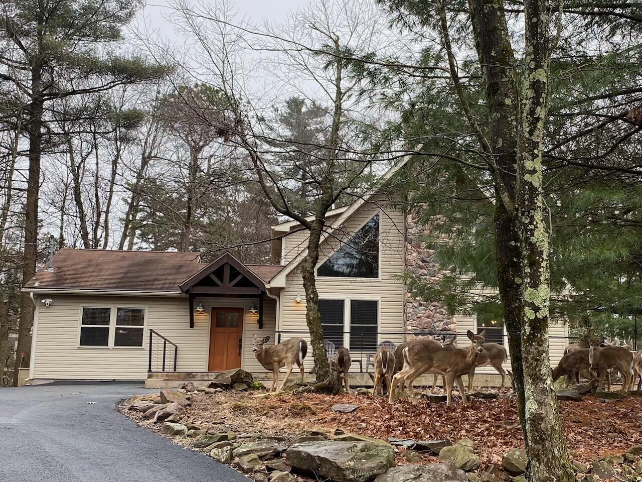 29 Estates Drive Lake Harmony, PA 18624 - Photo 74 of 75 IMG_4786 (1)