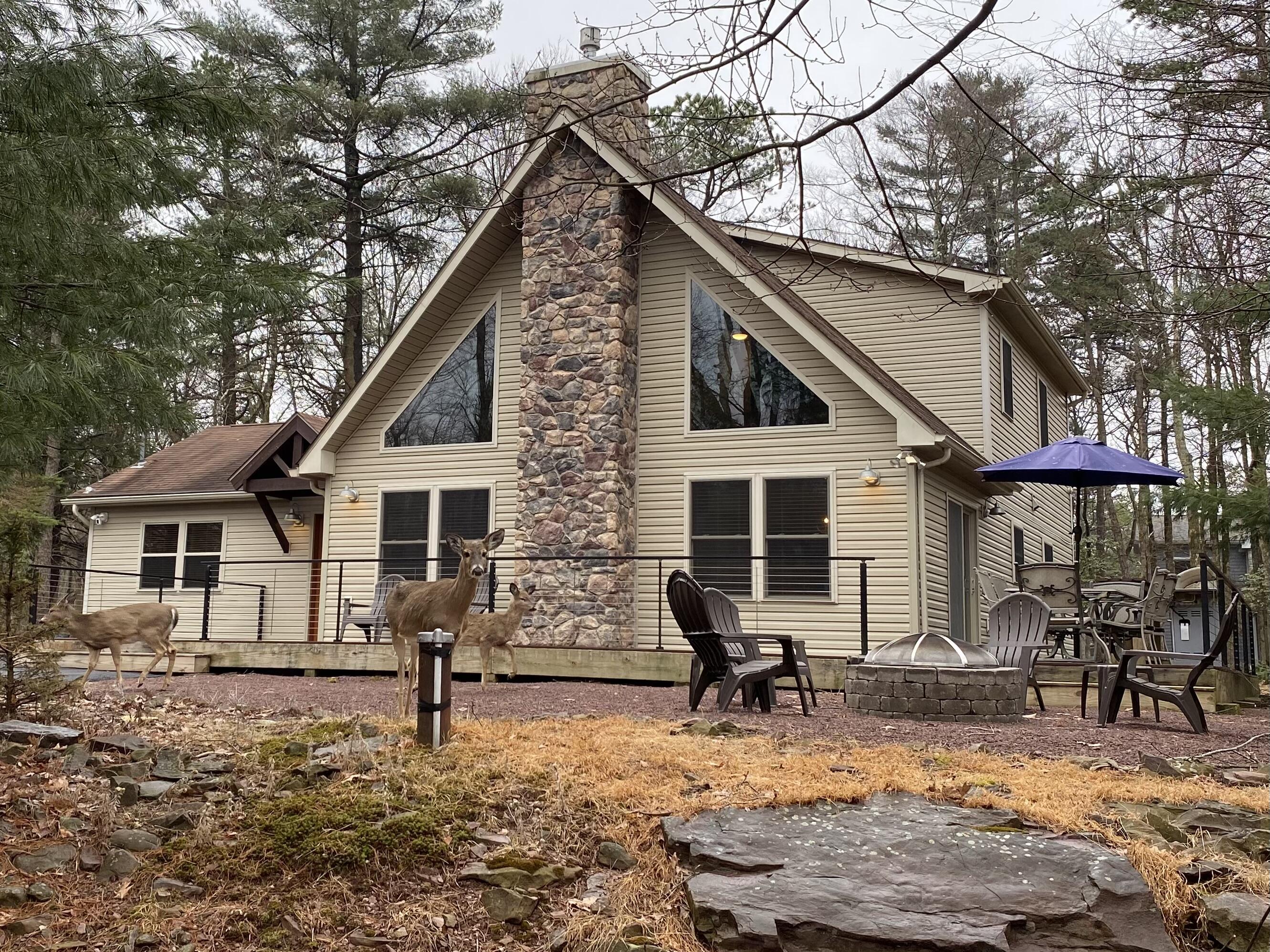 29 Estates Drive Lake Harmony, PA 18624 - Photo 75 of 75 IMG_4791