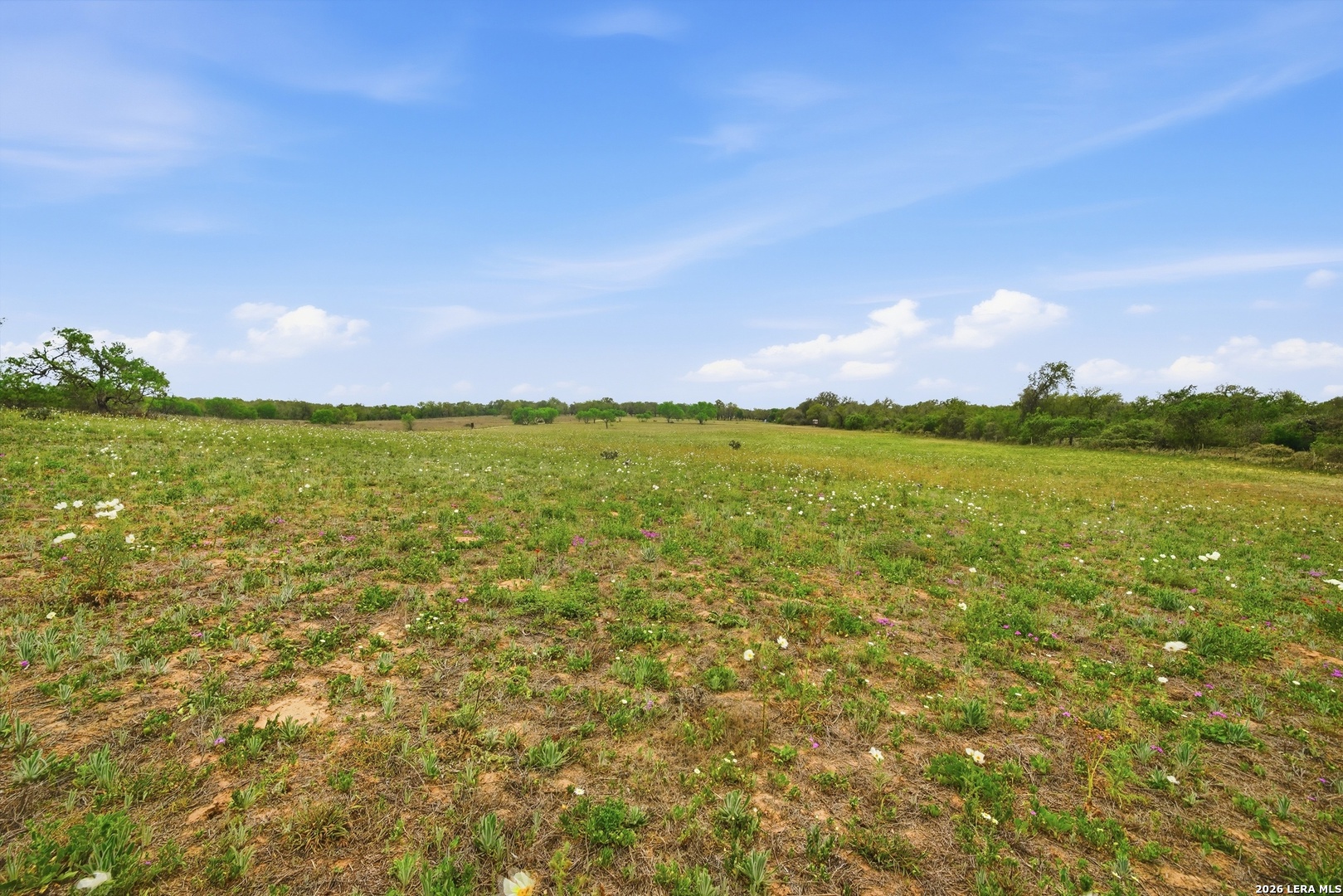 970 Stevens Road Somerset, TX 78069 - Photo 12 of 12