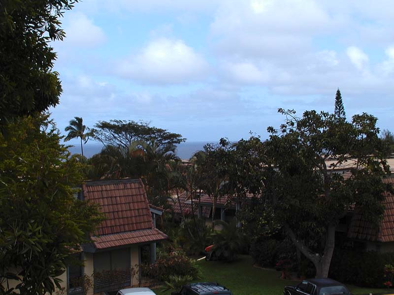 3920 Wyllie Road, Unit 24 Princeville, HI 96722 - Photo 5 of 6 Gallery Image 5
