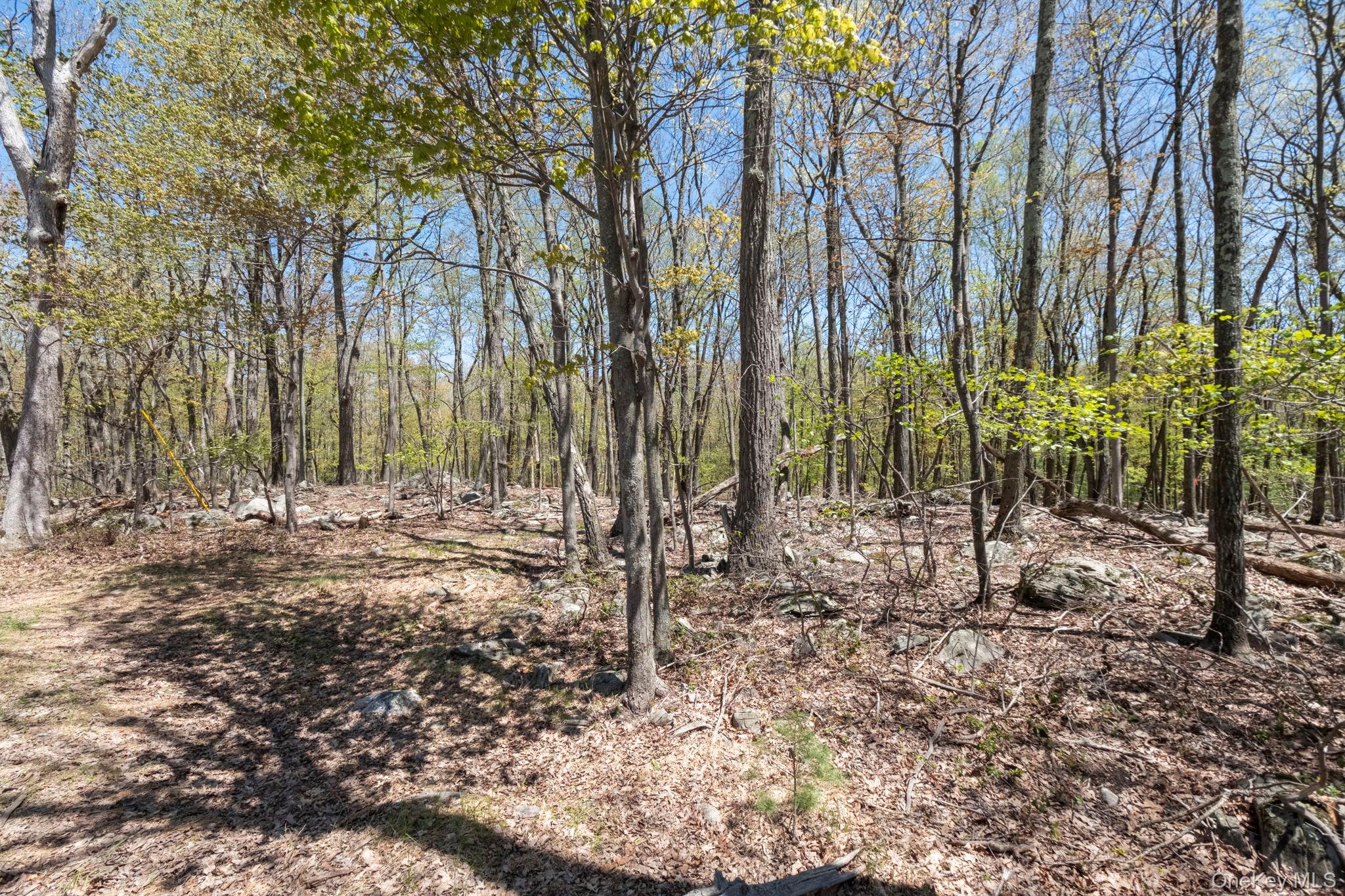Canal Road Wurtsboro, NY 12790 - Photo 7 of 19