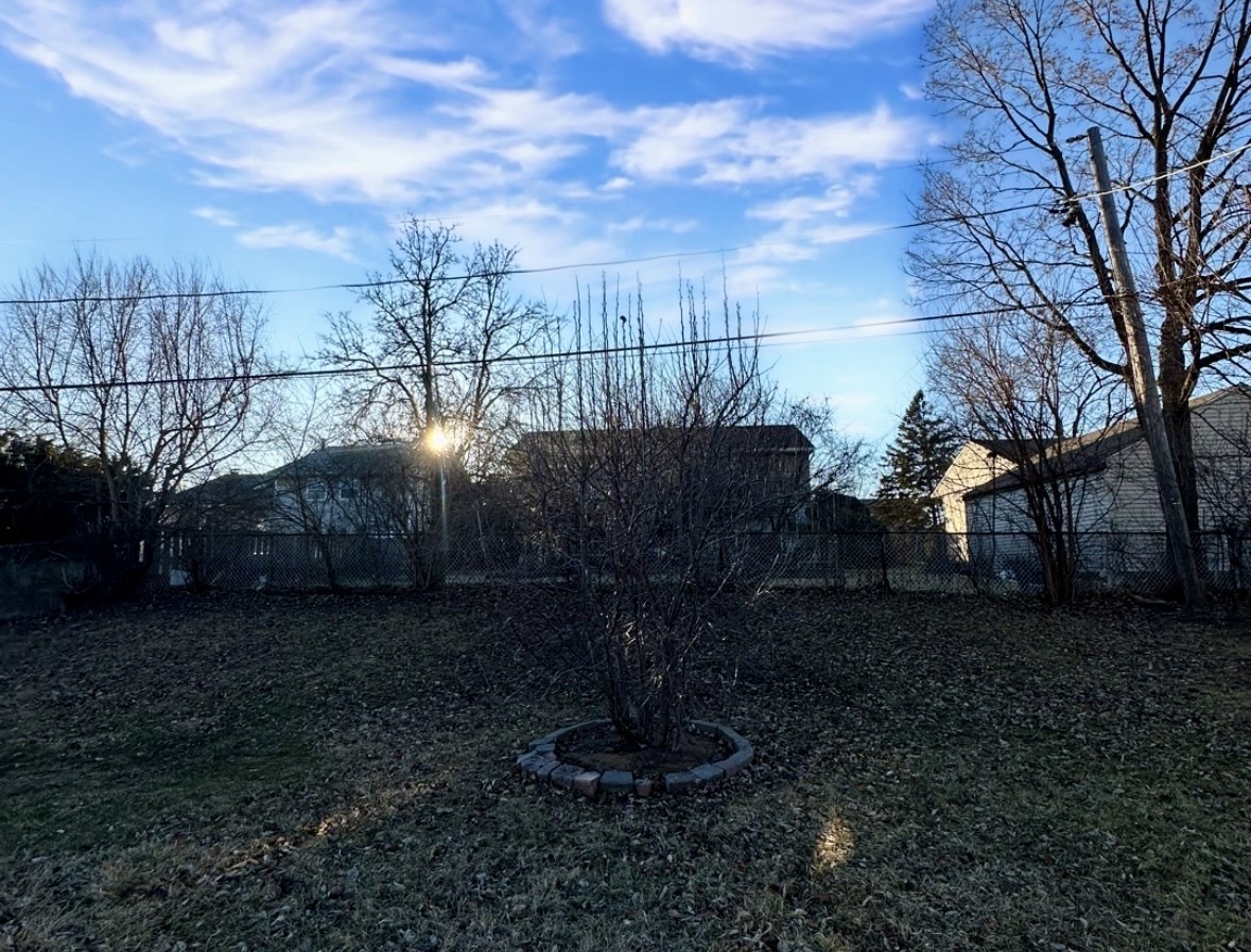 344 Hickory Avenue Romeoville, IL 60446 - Photo 14 of 14 a view of a garden