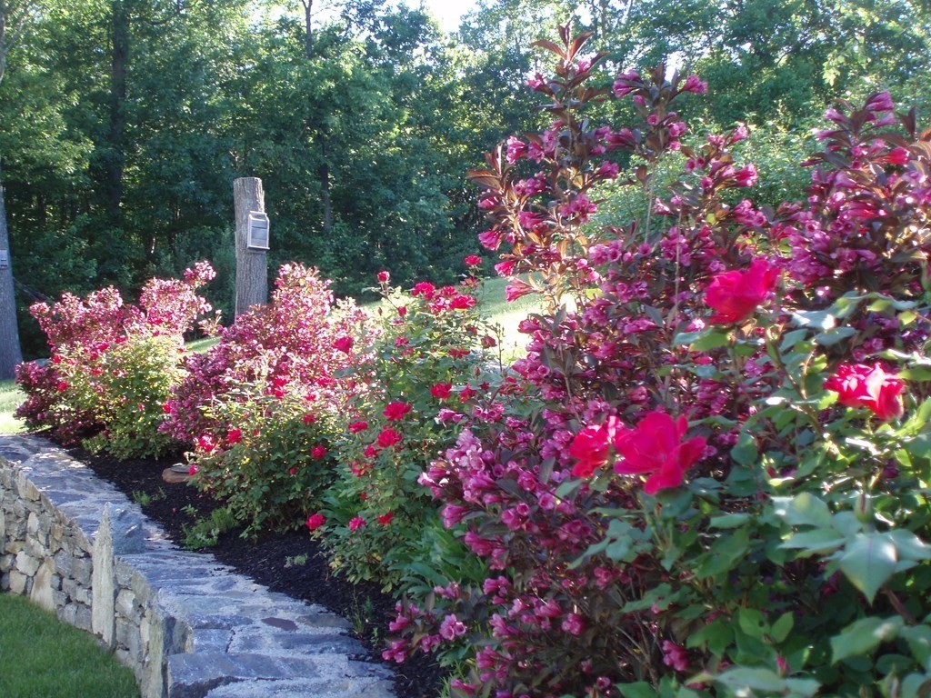 7 Robin Drive Grafton, MA 01536 - Photo 42 of 42