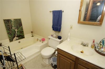 54131 Parkville Road Mendon, MI 49072 - Photo 8 of 18 Additional Photo