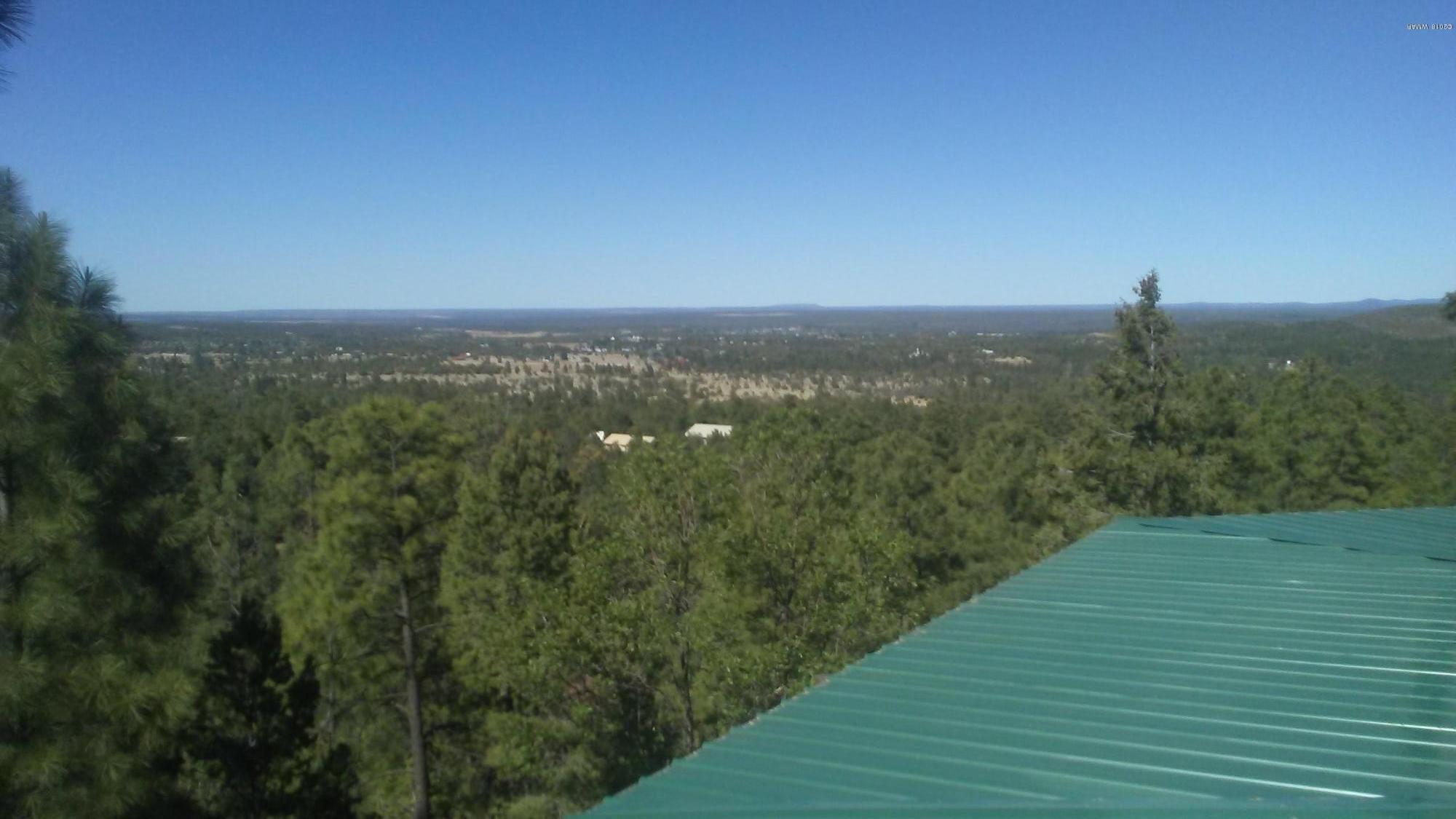 6338 Deer Run Road Show Low, AZ 85901 - Photo 38 of 38 Gallery Image 38