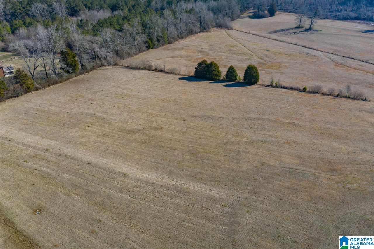 11112 Vance Blocton Road Vance, AL 35490 - Photo 11 of 20