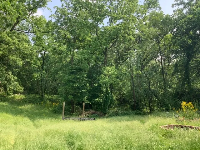 $350,000 | 338 Willow Street, New Lenox, IL 60451