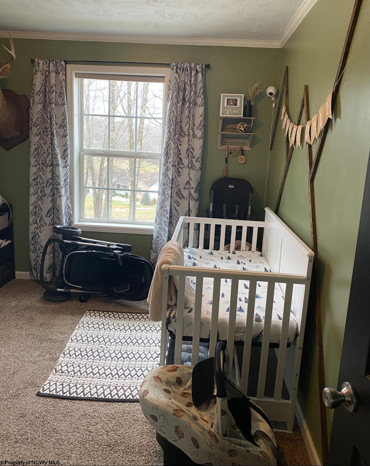1929 Mount Nebo Road Buckhannon, WV 26201 - Photo 19 of 20 Gallery Image 19