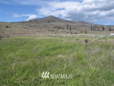 -tbd West Old Anglin Road Tonasket, WA 98855 - Photo 1 of 1 Gallery Image 1