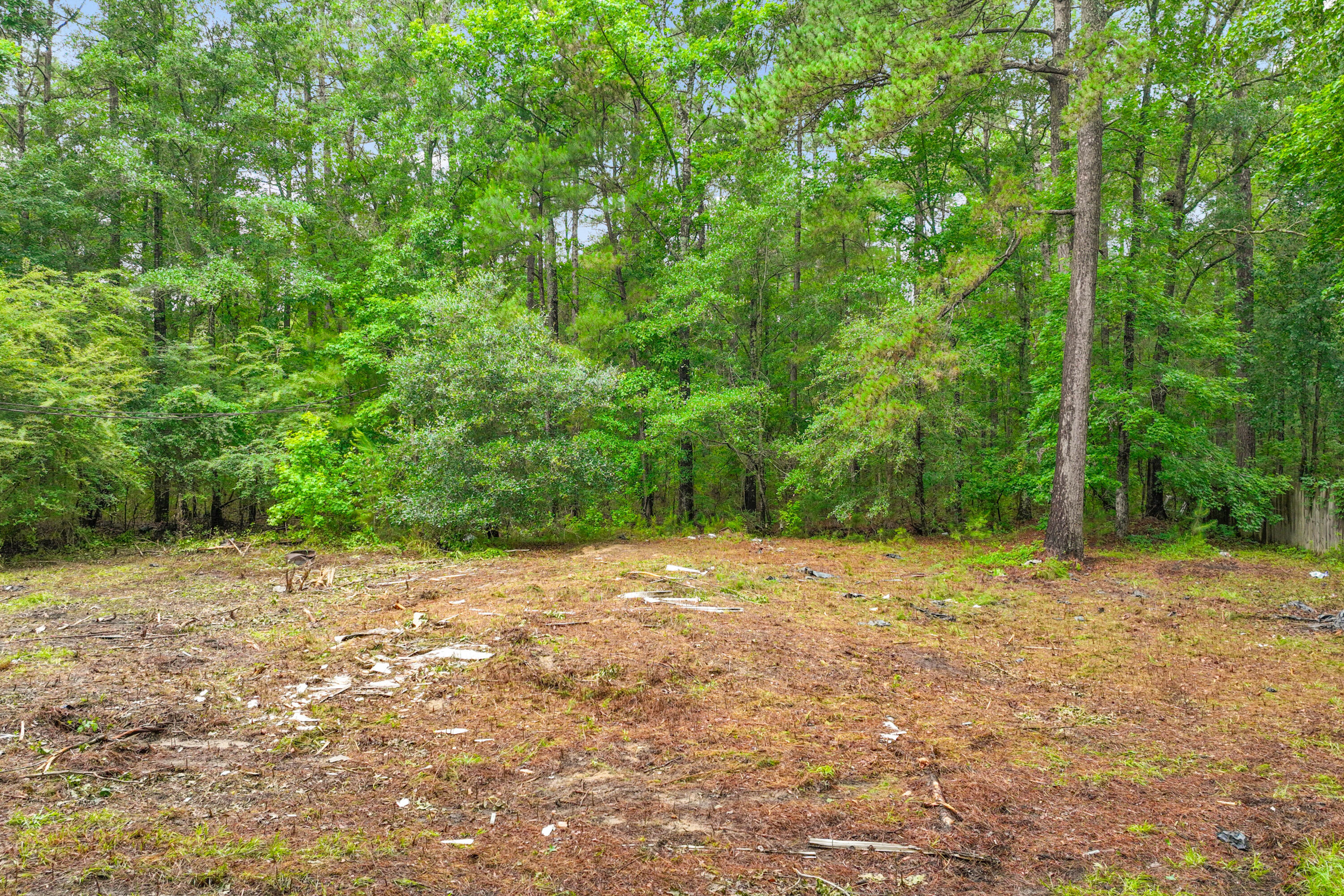 124 Maple Street Ridgeville, SC 29472 - Photo 5 of 12