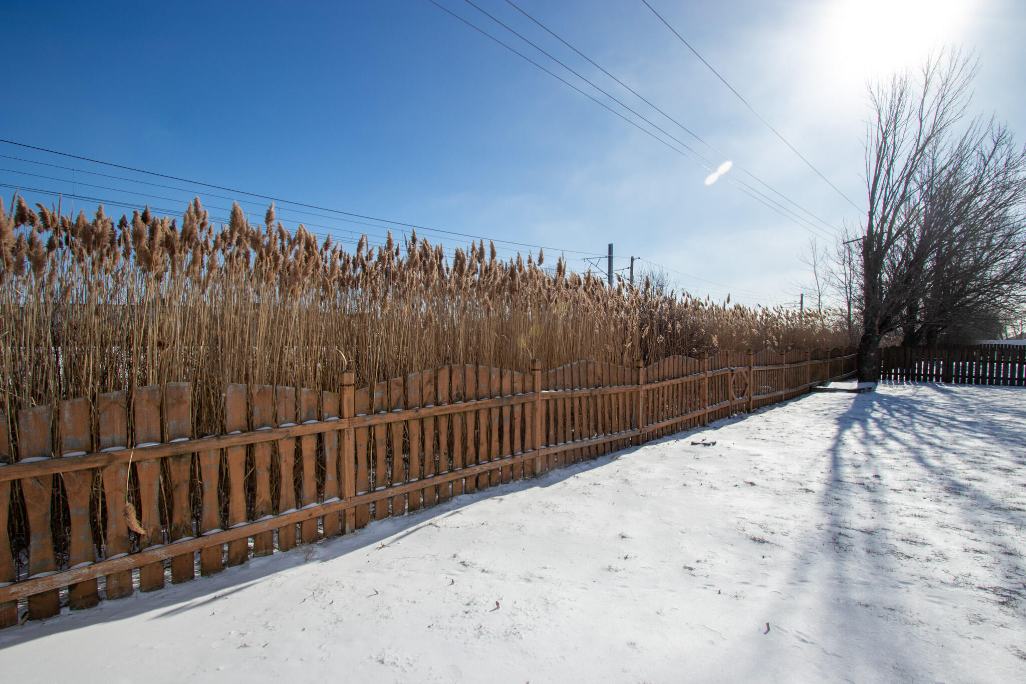 9741 Whitehall Garden Munster, IN 46321 - Photo 54 of 59 2048x1365