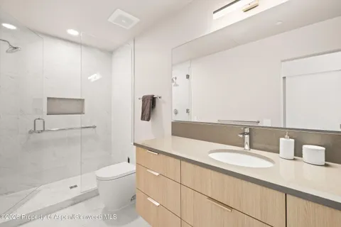 $2,995,000 | 101 Willow Road, Unit 206, Basalt, CO 81621