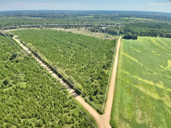 $907,200 | 189-acres Highland Street, Slocomb, AL 36375