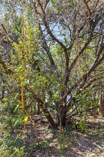 $135,000 | 212 Hazeltine Drive, Lakeway, TX 78734