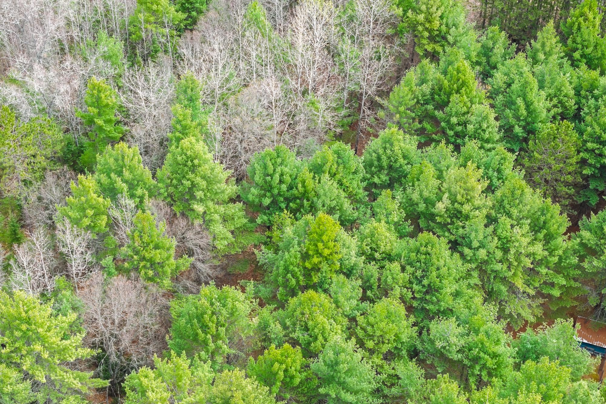 Lot 4 Rangeline Road Eagle River, WI 54521 - Photo 6 of 11 Gallery Image 6