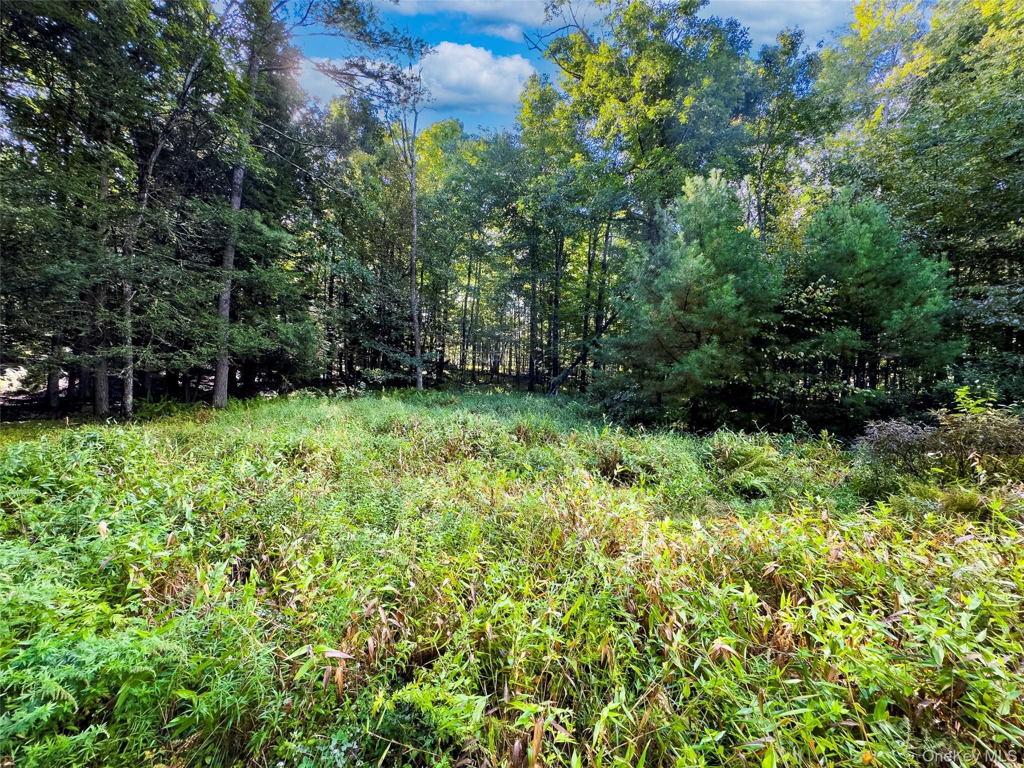 83 Perry Pond Road Narrowsburg, NY 12764 - Photo 8 of 14 Gallery Image 8