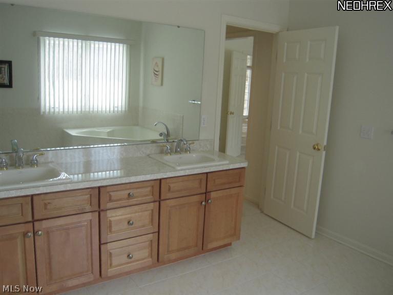 37405 Pettibone Road Solon, OH 44139 - Photo 14 of 20 Double-sink vanity in owners' suite bath.
