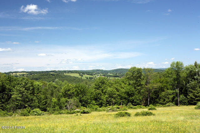 New Turnpike Road Cochecton, NY 12726 - Photo 3 of 9