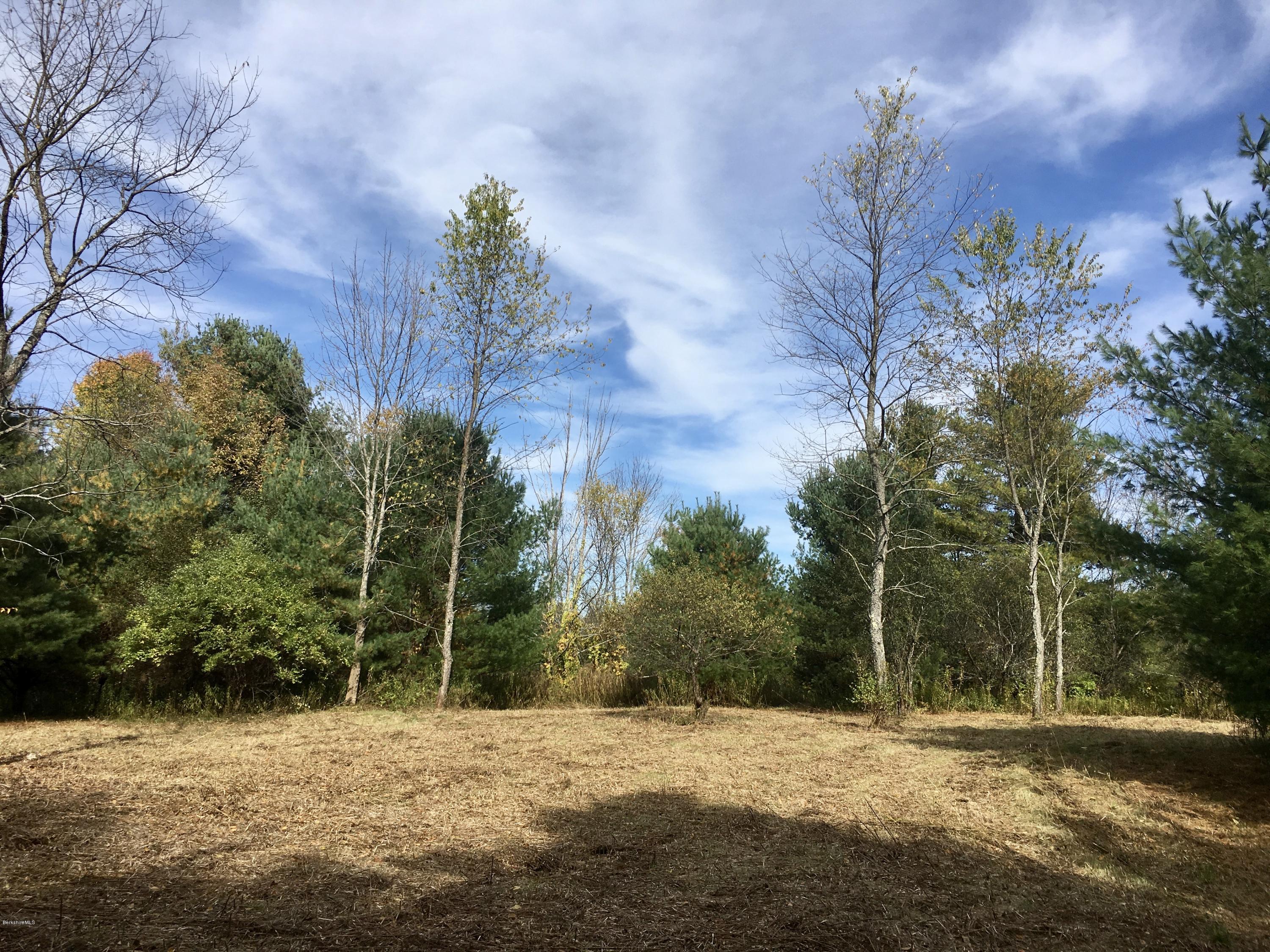 4 Meadow Road Stockbridge, MA 01266 - Photo 1 of 4 a view of a yard with plants