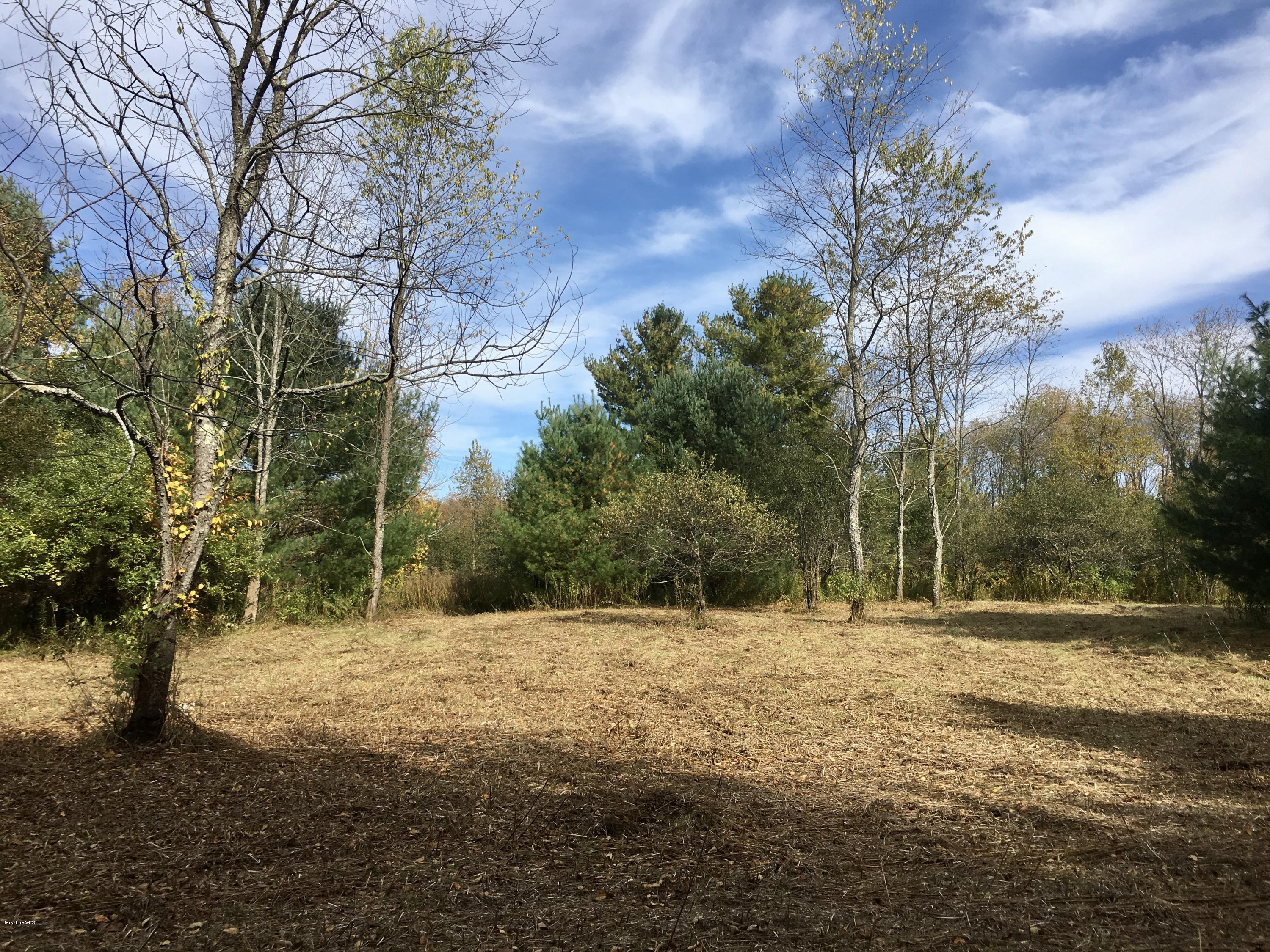 4 Meadow Road Stockbridge, MA 01266 - Photo 2 of 4 a view of outdoor space with trees