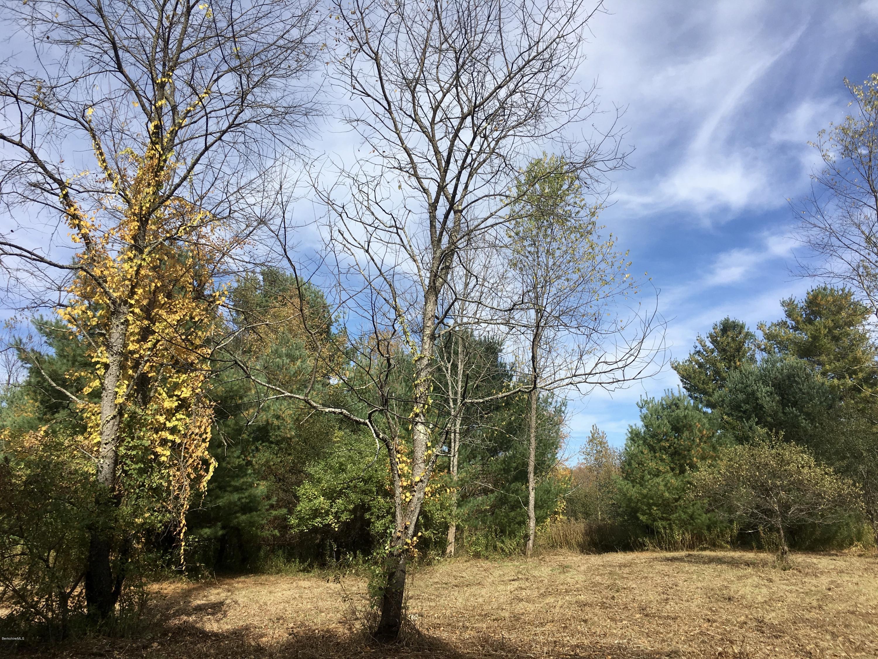 4 Meadow Road Stockbridge, MA 01266 - Photo 3 of 4 a view of a yard with trees