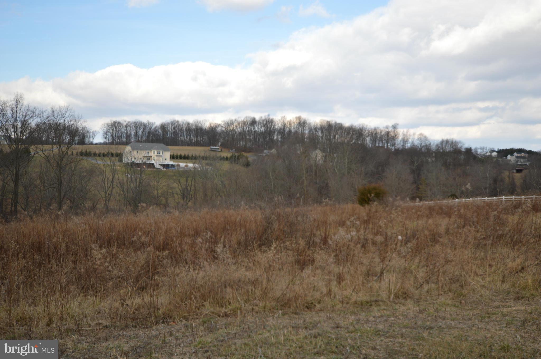 Cambria Lt2 Road Westminster, MD 21157 - Photo 2 of 8 CLEAR,BACKS TO TREES & STREAM