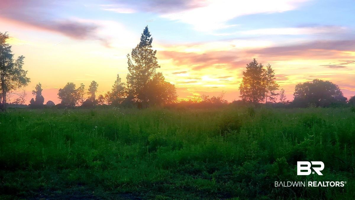 33903 Lee Road Robertsdale, AL 36567 - Photo 19 of 20