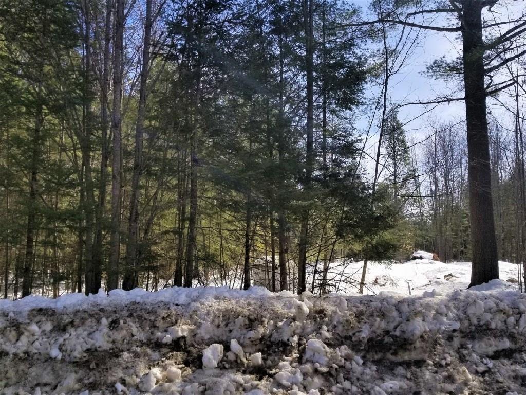 M4-l34-j McNally Road Clinton, ME 04927 - Photo 16 of 18 View from the road