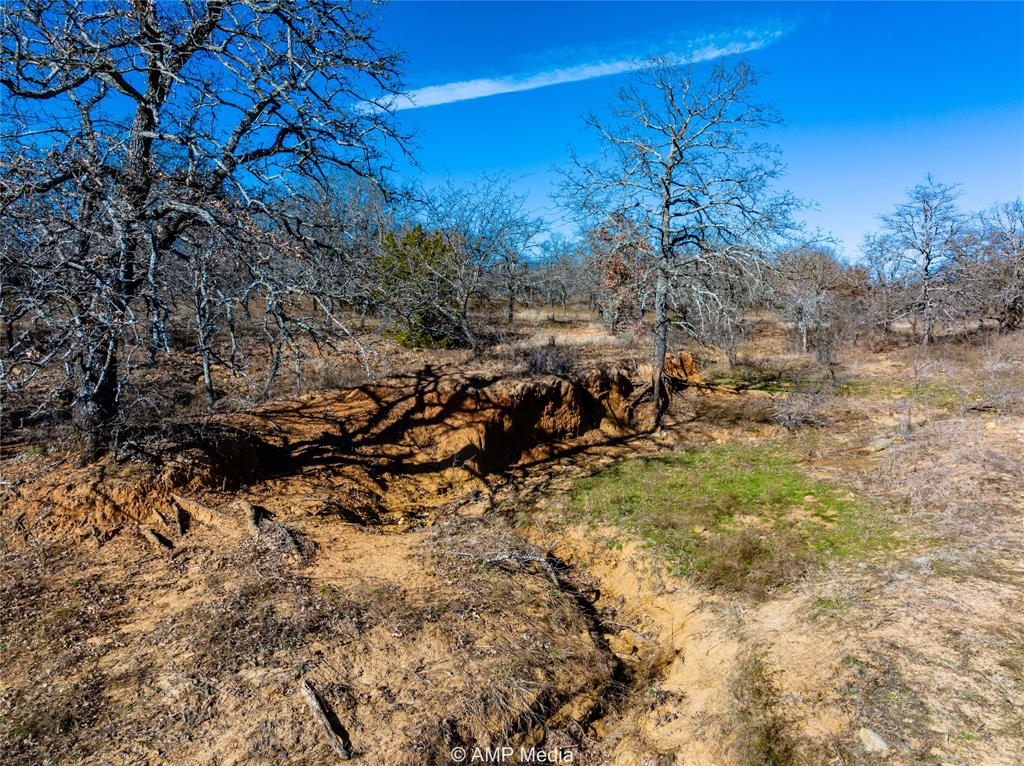 1992 Sand Flat Road Jacksboro, TX 76458 - Photo 10 of 36 View of local wilderness