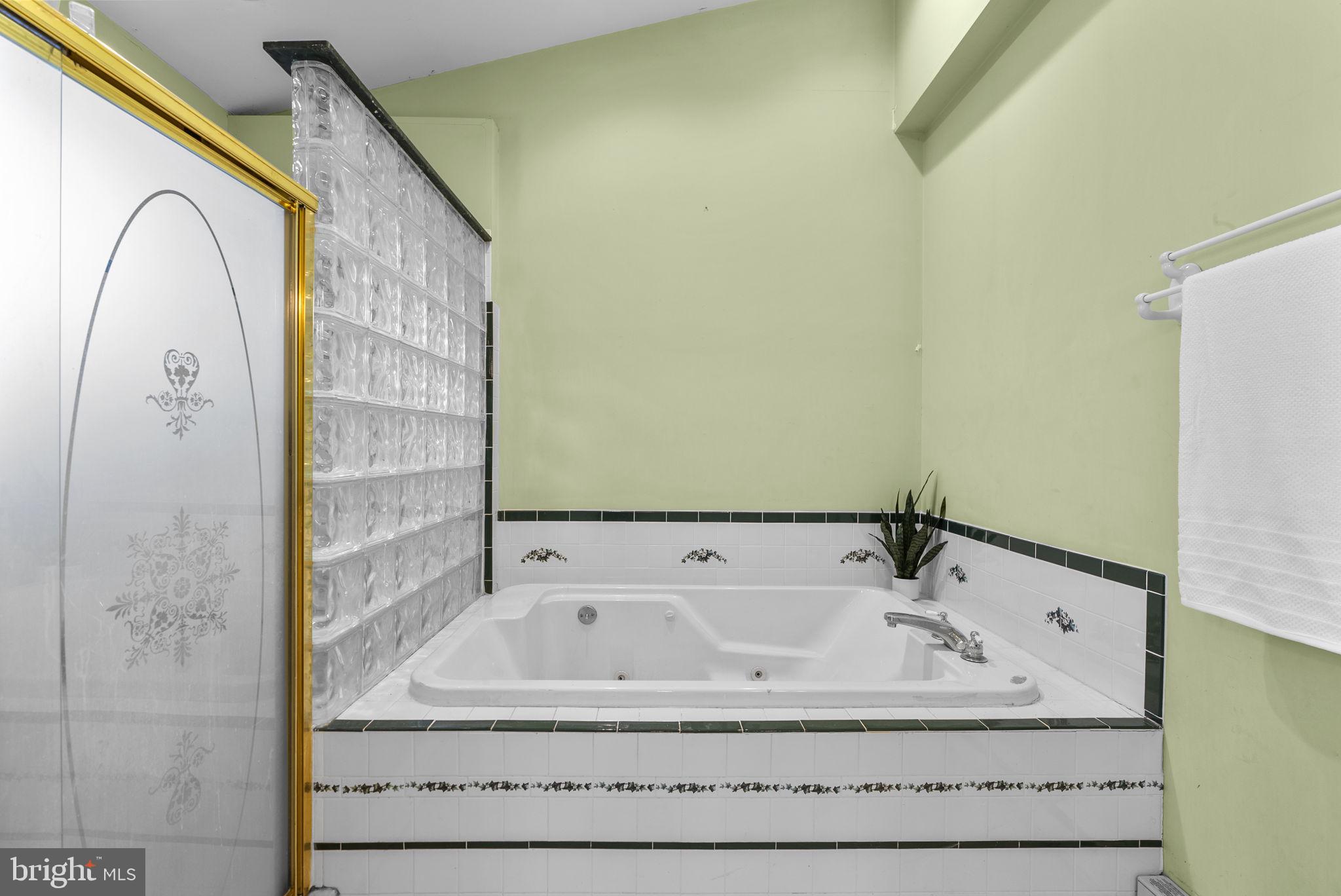 3050 Hooper Road New Windsor, MD 21776 - Photo 34 of 63 Soaking tub/jacuzzi and two head shower