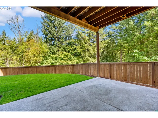 a view of a backyard with plants
