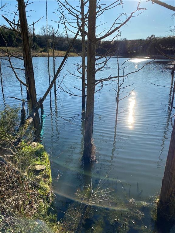 8524 Youth Ranch Road Mulberry, AR 72947 - Photo 13 of 40 Expansive waterfront featuring a natural water body, surrounding natural landscape, visible shoreline vegetation, and submerged tree trunks