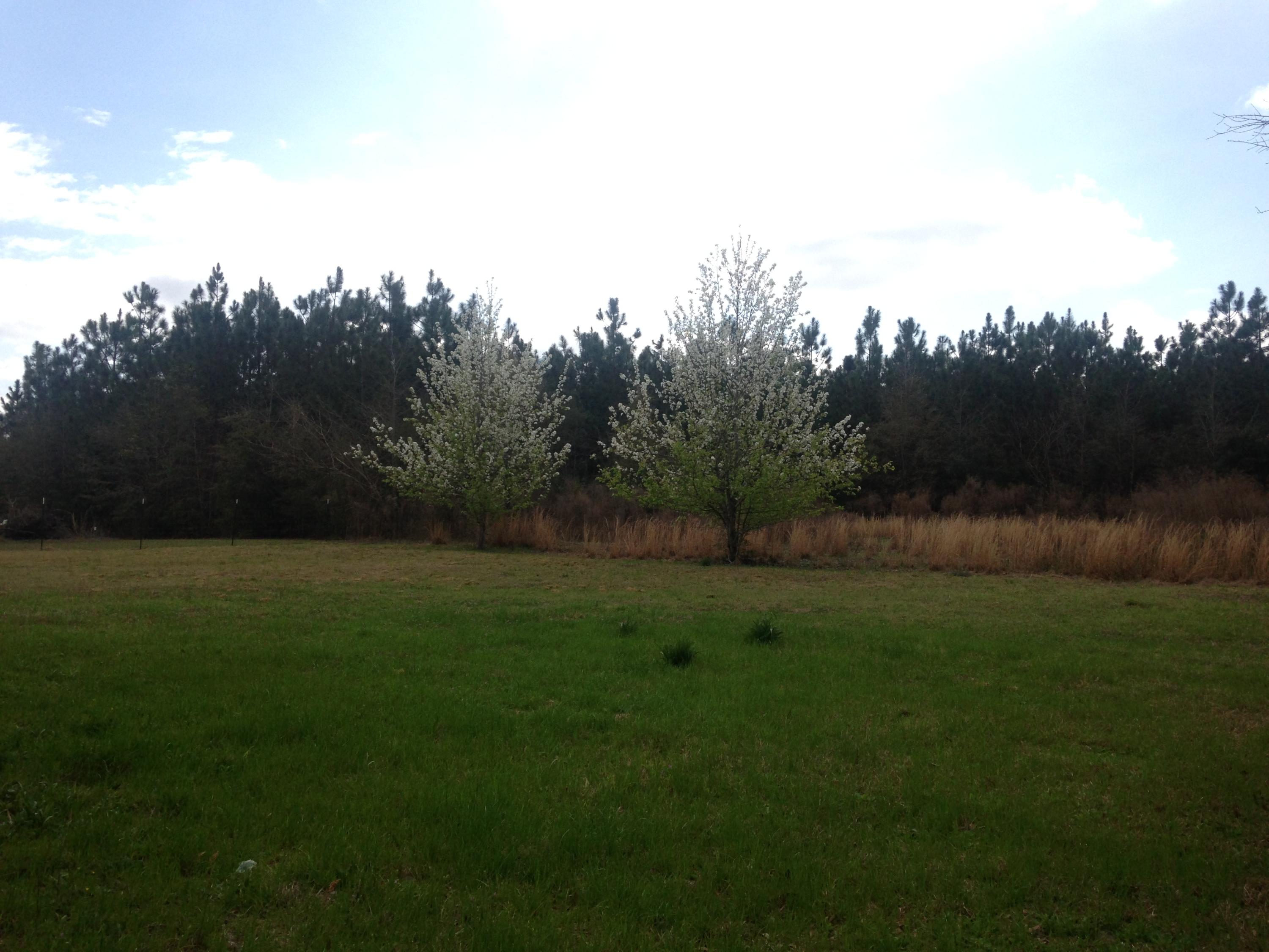 6535 William Gary Johnson Road Baker, FL 32531 - Photo 12 of 13 Gallery Image 12