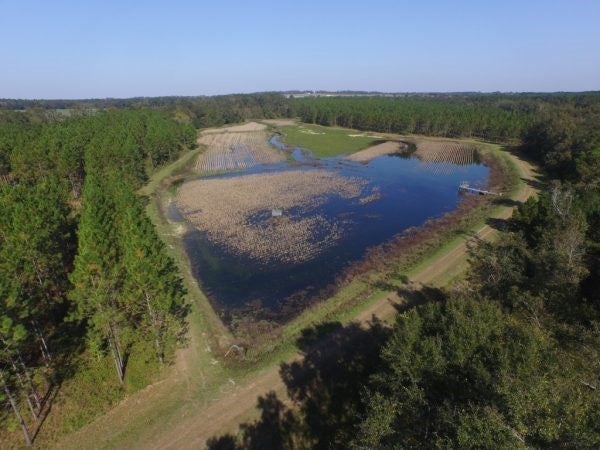130.76 Grooverville Road Boston, GA 31626 - Photo 1 of 1 Main View