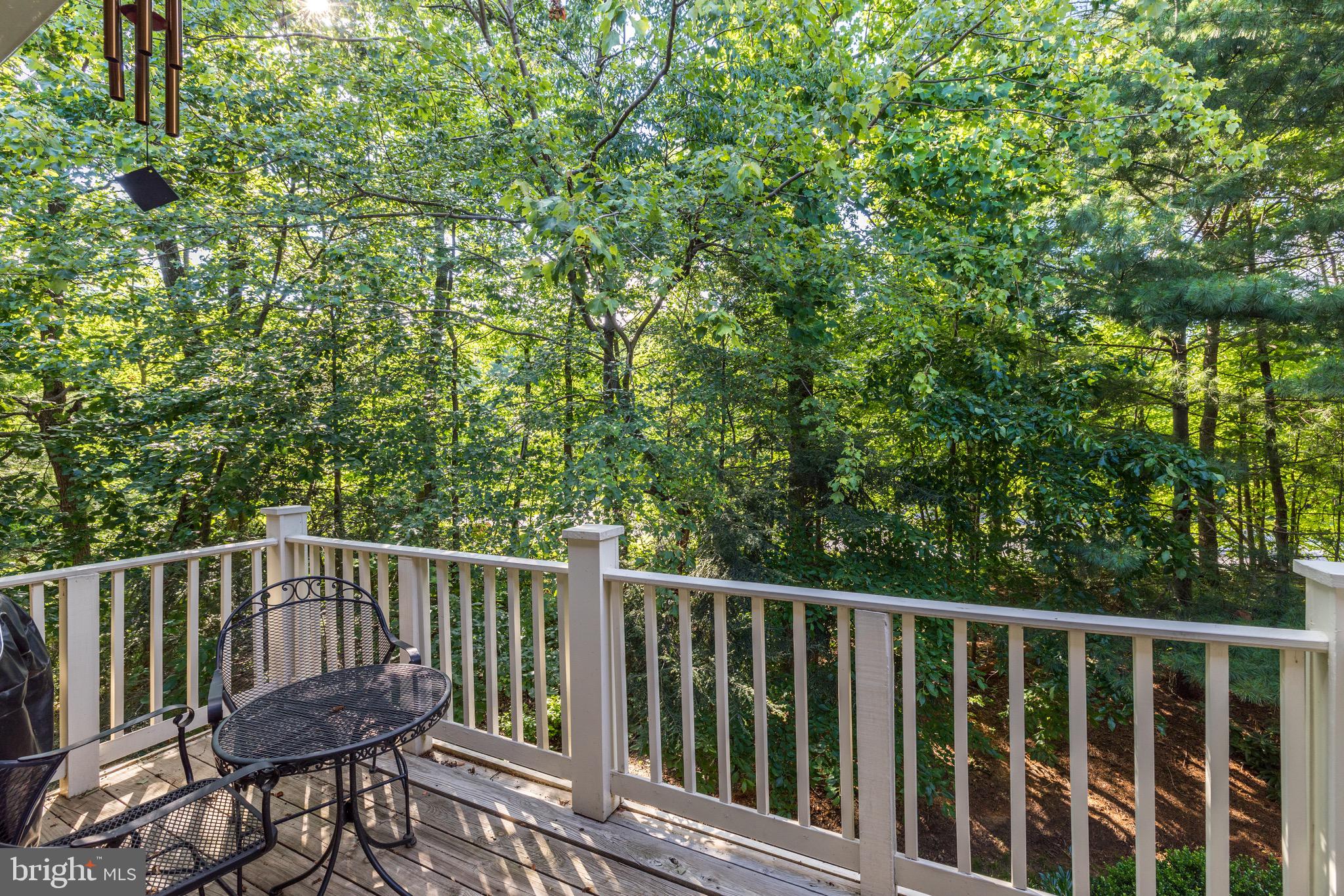 11406 Windleaf Court, Unit 13 Reston, VA 20194 - Photo 26 of 26 Gallery Image 26
