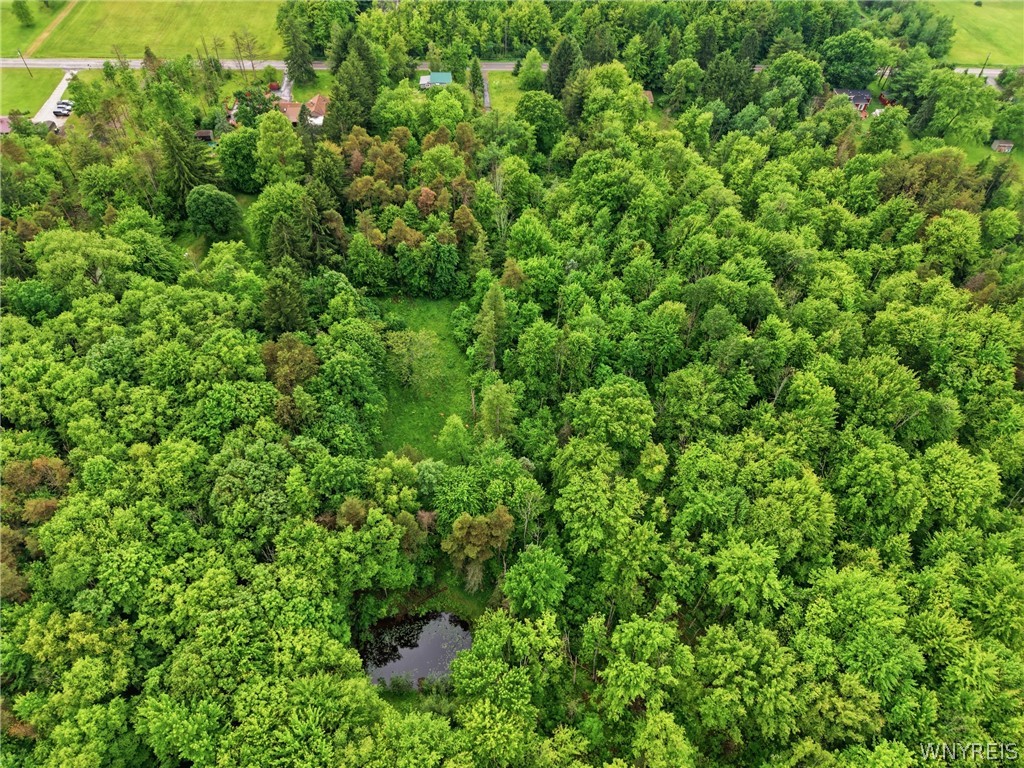 7499 Irish Road Colden, NY 14170 - Photo 5 of 10