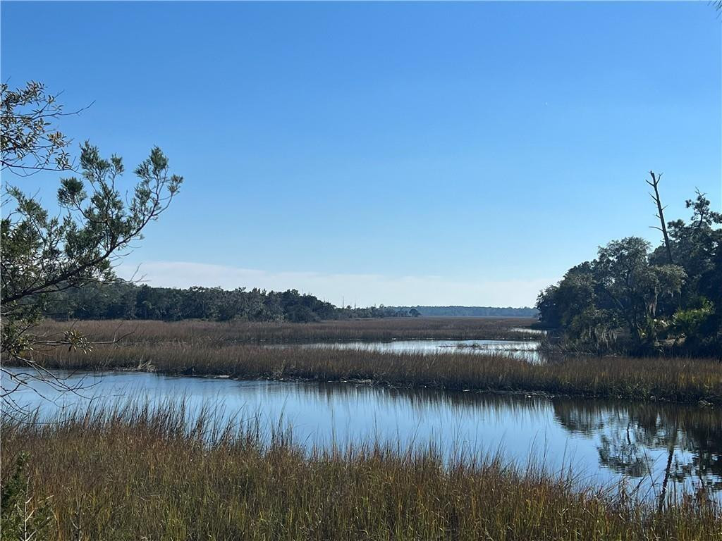 435 Jenkins Farm Road Brunswick, GA 31523 - Photo 1 of 1 Gallery Image 1
